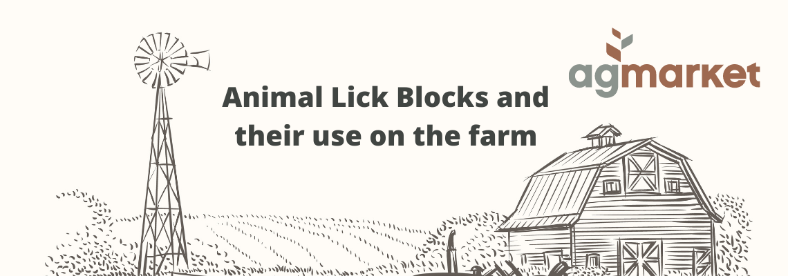 Lick Blocks and their uses | Product Education | AgBlogs