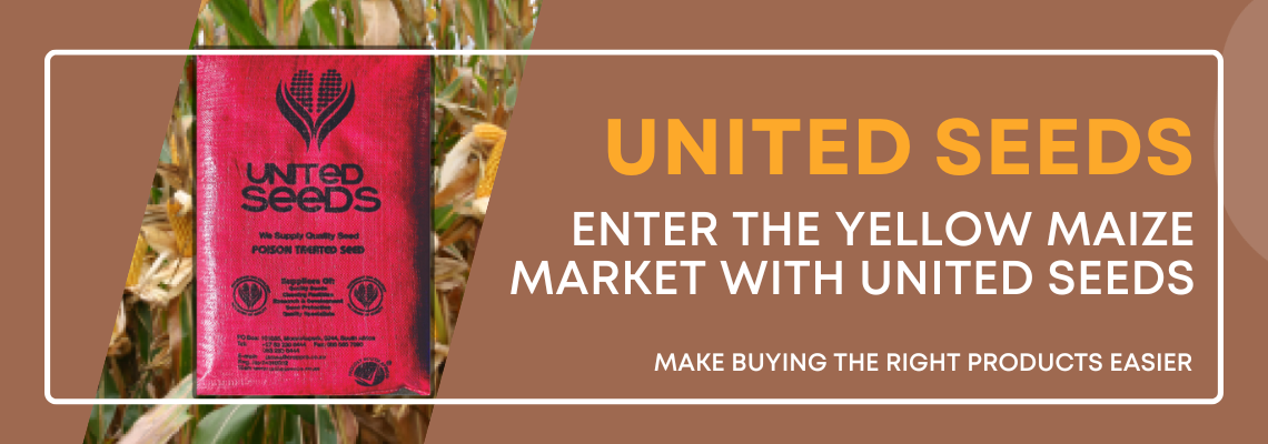 Yellow Maize Crops with United Seeds | Product Education | AgBlogs