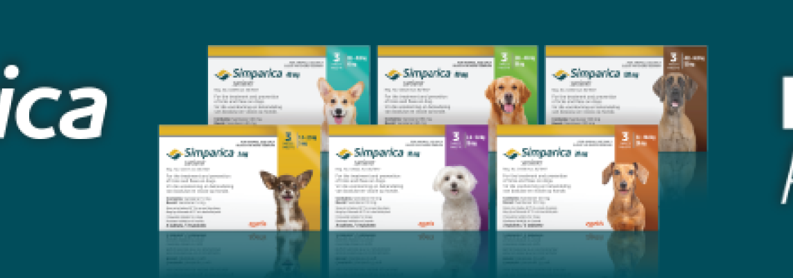 Controlling Ticks, Fleas & Mites on your dog with Simparica | Product Education | AgBlogs